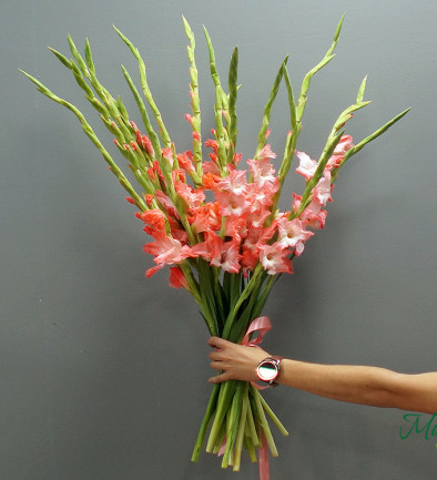 Gladiol roz foto 394x433